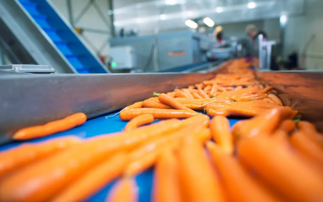 Telsonic Ultrasonics Enhances Tubular Bag Sealing Technology